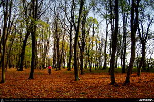 Trasee cu bicicleta MTB XC - Traseu MTB Bucuresti - Boldu-Cretuleasca - Runcu - Dascalu - Andronache de Andrei Vocurek