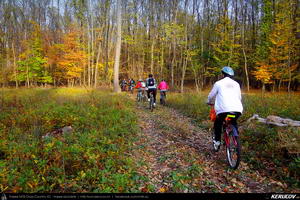 Trasee cu bicicleta MTB XC - Traseu MTB Bucuresti - Boldu-Cretuleasca - Runcu - Dascalu - Andronache de Andrei Vocurek