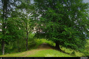Trasee cu bicicleta MTB XC - Traseu MTB Campina - Melicesti - Telega - Mislea - Baicoi - Floresti de Andrei Vocurek