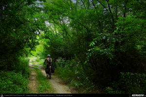 Trasee cu bicicleta MTB XC - Traseu MTB Gyor - Bony - Bana - Babolna - Acs - Komarom : EuroVelo 6 - 3 de Andrei Vocurek