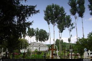 Trasee cu bicicleta MTB XC - Traseu MTB Ploiesti - Valenii de Munte - Soimari - Varbila - Bucov - Ploiesti de Andrei Vocurek