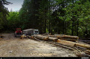 Trasee cu bicicleta MTB XC - Traseu MTB Predeal - Valea Azugii - Azuga - Busteni - Sinaia - Valea Rea de Andrei Vocurek