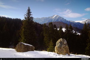 Trasee cu bicicleta MTB XC - Traseu MTB Predeal - Sipote - Forban - Diham - Poiana Izvoarelor - Busteni de Andrei Vocurek