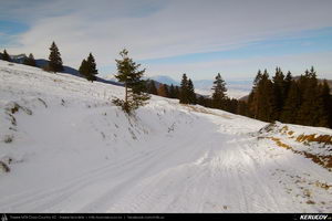 Trasee cu bicicleta MTB XC - Traseu MTB Predeal - Sipote - Forban - Diham - Poiana Izvoarelor - Busteni de Andrei Vocurek