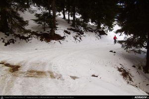 Trasee cu bicicleta MTB XC - Traseu MTB Predeal - Sipote - Forban - Diham - Poiana Izvoarelor - Busteni de Andrei Vocurek