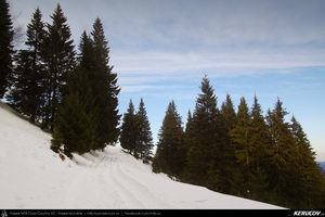 Trasee cu bicicleta MTB XC - Traseu MTB Predeal - Sipote - Forban - Diham - Poiana Izvoarelor - Busteni de Andrei Vocurek