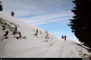 Trasee cu bicicleta MTB XC - Traseu MTB Predeal - Sipote - Forban - Diham - Poiana Izvoarelor - Busteni de Andrei Vocurek