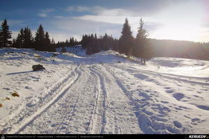 Trasee cu bicicleta MTB XC - Traseu MTB Predeal - Sipote - Forban - Diham - Poiana Izvoarelor - Busteni de Andrei Vocurek