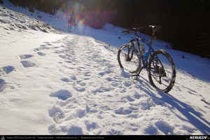Trasee cu bicicleta MTB XC - Traseu MTB Predeal - Sipote - Forban - Diham - Poiana Izvoarelor - Busteni de Andrei Vocurek