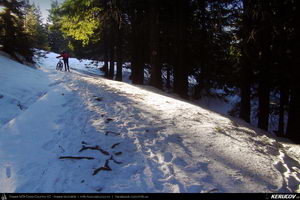 Trasee cu bicicleta MTB XC - Traseu MTB Predeal - Sipote - Forban - Diham - Poiana Izvoarelor - Busteni de Andrei Vocurek