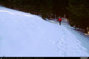 Trasee cu bicicleta MTB XC - Traseu MTB Predeal - Sipote - Forban - Diham - Poiana Izvoarelor - Busteni de Andrei Vocurek