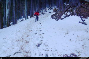 Trasee cu bicicleta MTB XC - Traseu MTB Predeal - Sipote - Forban - Diham - Poiana Izvoarelor - Busteni de Andrei Vocurek