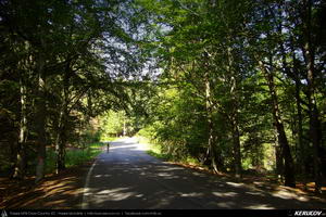 Trasee cu bicicleta MTB XC - Traseu MTB Predeal - Zarnesti - Rasnov - Poiana Brasov - Brasov (2 zile) de Andrei Vocurek