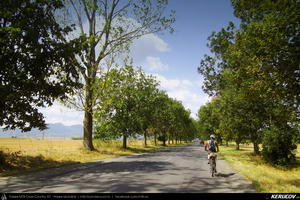 Trasee cu bicicleta MTB XC - Traseu MTB Predeal - Zarnesti - Rasnov - Poiana Brasov - Brasov (2 zile) de Andrei Vocurek