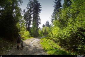 Traseu MTB Rosia Montana - Taul Mare - Taul Corna - Taul Brazi - KERUCOV .ro © 2007 - 2025 || #traseecubicicleta #mtb #ssp