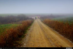 Trasee cu bicicleta MTB XC - Traseu MTB Sarulesti - Magureni - Vadu Anei - Cernica - Padurea Pantelimon de Andrei Vocurek