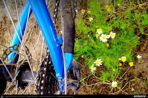 Trasee cu bicicleta MTB XC - Traseu MTB Sarulesti - Magureni - Vadu Anei - Cernica - Padurea Pantelimon de Andrei Vocurek