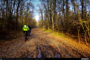 Trasee cu bicicleta MTB XC - Traseu MTB Sarulesti - Magureni - Vadu Anei - Cernica - Padurea Pantelimon de Andrei Vocurek