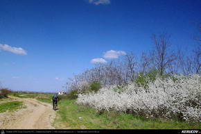 Trasee cu bicicleta MTB XC - Traseu MTB Targoviste - Zimbraria Neagra Bucsani - Ploiesti de Andrei Vocurek