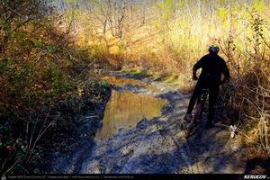 Trasee cu bicicleta MTB XC - Traseu MTB Ulmeni - Sarata-Monteoru - Leiculesti - Niscov - Vernesti - Merei de Andrei Vocurek