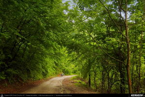 Trasee cu bicicleta MTB XC - Traseu MTB Coronini - Moldova Noua - Sasca Montana - Ilidia - Oravita (Banatul Montan - Muntii Locvei) de Andrei Vocurek