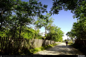 Trasee cu bicicleta MTB XC - Traseu MTB Calimanesti - Cabana Cozia - Berislavesti - Jiblea Veche - Pausa - Caciulata (Parcul National Cozia / Masivul Cozia) de Andrei Vocurek
