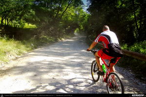 Trasee cu bicicleta MTB XC - Traseu MTB Calimanesti - Cabana Cozia - Berislavesti - Jiblea Veche - Pausa - Caciulata (Parcul National Cozia / Masivul Cozia) de Andrei Vocurek