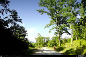 Trasee cu bicicleta MTB XC - Traseu MTB Calimanesti - Cabana Cozia - Berislavesti - Jiblea Veche - Pausa - Caciulata (Parcul National Cozia / Masivul Cozia) de Andrei Vocurek
