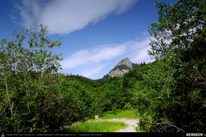 Trasee cu bicicleta MTB XC - Traseu MTB Calimanesti - Cabana Cozia - Berislavesti - Jiblea Veche - Pausa - Caciulata (Parcul National Cozia / Masivul Cozia) de Andrei Vocurek