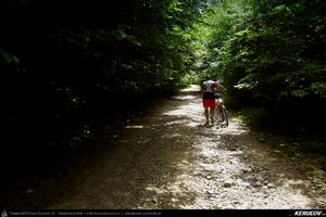 Trasee cu bicicleta MTB XC - Traseu MTB Calimanesti - Cabana Cozia - Berislavesti - Jiblea Veche - Pausa - Caciulata (Parcul National Cozia / Masivul Cozia) de Andrei Vocurek