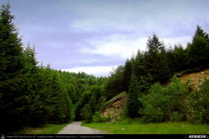Trasee cu bicicleta MTB XC - Traseu MTB Calimanesti - Cabana Cozia - Berislavesti - Jiblea Veche - Pausa - Caciulata (Parcul National Cozia / Masivul Cozia) de Andrei Vocurek