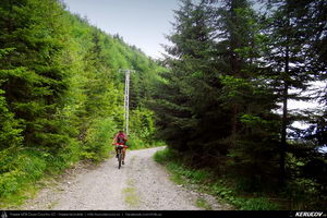 Trasee cu bicicleta MTB XC - Traseu MTB Calimanesti - Cabana Cozia - Berislavesti - Jiblea Veche - Pausa - Caciulata (Parcul National Cozia / Masivul Cozia) de Andrei Vocurek