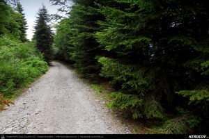 Trasee cu bicicleta MTB XC - Traseu MTB Calimanesti - Cabana Cozia - Berislavesti - Jiblea Veche - Pausa - Caciulata (Parcul National Cozia / Masivul Cozia) de Andrei Vocurek
