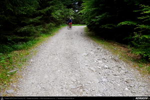 Trasee cu bicicleta MTB XC - Traseu MTB Calimanesti - Cabana Cozia - Berislavesti - Jiblea Veche - Pausa - Caciulata (Parcul National Cozia / Masivul Cozia) de Andrei Vocurek