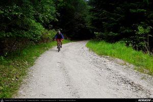 Trasee cu bicicleta MTB XC - Traseu MTB Calimanesti - Cabana Cozia - Berislavesti - Jiblea Veche - Pausa - Caciulata (Parcul National Cozia / Masivul Cozia) de Andrei Vocurek