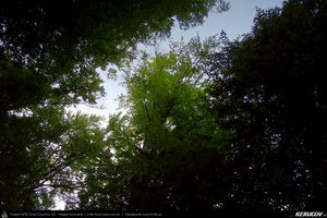 Trasee cu bicicleta MTB XC - Traseu MTB Calimanesti - Cabana Cozia - Berislavesti - Jiblea Veche - Pausa - Caciulata (Parcul National Cozia / Masivul Cozia) de Andrei Vocurek