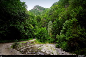 Trasee cu bicicleta MTB XC - Traseu MTB Calimanesti-Caciulata - Cascada Lotrisor - Lunca - Bujoreni - Ramnicu Valcea (Parcul National Cozia / Valea Lotrisor) de Andrei Vocurek
