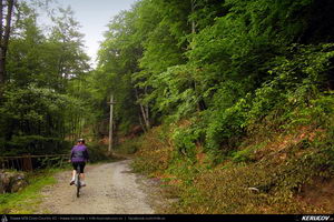 Trasee cu bicicleta MTB XC - Traseu MTB Caciulata - Valea Pausa - Manastirea Stanisoara - Manastirea Turnu - Calimanesti (Parcul National Cozia) de Andrei Vocurek