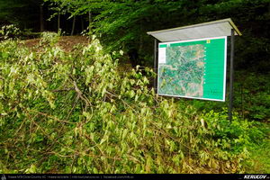 Trasee cu bicicleta MTB XC - Traseu MTB Caciulata - Valea Pausa - Manastirea Stanisoara - Manastirea Turnu - Calimanesti (Parcul National Cozia) de Andrei Vocurek