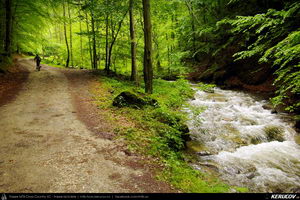 Trasee cu bicicleta MTB XC - Traseu MTB Caciulata - Valea Pausa - Manastirea Stanisoara - Manastirea Turnu - Calimanesti (Parcul National Cozia) de Andrei Vocurek