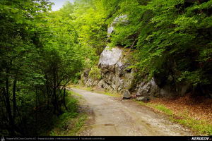 Trasee cu bicicleta MTB XC - Traseu MTB Caciulata - Valea Pausa - Manastirea Stanisoara - Manastirea Turnu - Calimanesti (Parcul National Cozia) de Andrei Vocurek