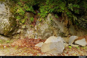 Trasee cu bicicleta MTB XC - Traseu MTB Caciulata - Valea Pausa - Manastirea Stanisoara - Manastirea Turnu - Calimanesti (Parcul National Cozia) de Andrei Vocurek