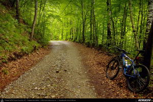 Trasee cu bicicleta MTB XC - Traseu MTB Caciulata - Valea Pausa - Manastirea Stanisoara - Manastirea Turnu - Calimanesti (Parcul National Cozia) de Andrei Vocurek