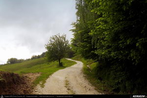 Trasee cu bicicleta MTB XC - Traseu MTB Caciulata - Valea Pausa - Manastirea Stanisoara - Manastirea Turnu - Calimanesti (Parcul National Cozia) de Andrei Vocurek