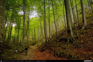 Trasee cu bicicleta MTB XC - Traseu MTB Caciulata - Valea Pausa - Manastirea Stanisoara - Manastirea Turnu - Calimanesti (Parcul National Cozia) de Andrei Vocurek