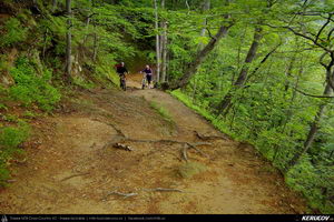 Trasee cu bicicleta MTB XC - Traseu MTB Caciulata - Valea Pausa - Manastirea Stanisoara - Manastirea Turnu - Calimanesti (Parcul National Cozia) de Andrei Vocurek