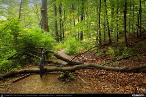 Trasee cu bicicleta MTB XC - Traseu MTB Caciulata - Valea Pausa - Manastirea Stanisoara - Manastirea Turnu - Calimanesti (Parcul National Cozia) de Andrei Vocurek