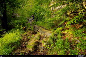 Trasee cu bicicleta MTB XC - Traseu MTB Caciulata - Valea Pausa - Manastirea Stanisoara - Manastirea Turnu - Calimanesti (Parcul National Cozia) de Andrei Vocurek