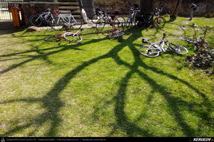 Trasee cu bicicleta MTB XC - Traseu MTB Ploiesti - Cosminele - Brebu - Pietriceaua - Zamfira - Ploiesti de Andrei Vocurek