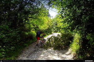 Trasee cu bicicleta MTB XC - Traseu MTB Curtea de Arges - Valea Danului - Cepari - Valea Babei - Goranu - Calimanesti de Andrei Vocurek